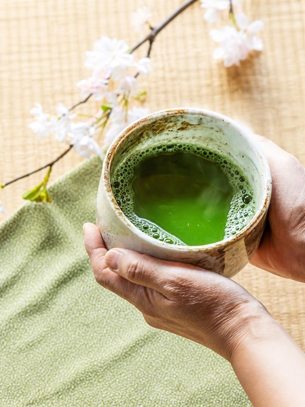 Hands holding a bowl of mushroom matcha near cherry blossom branches